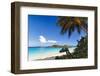 Trunk Bay Palm Tree St John USVI-George Oze-Framed Photographic Print