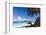 Trunk Bay Palm Tree St John USVI-George Oze-Framed Photographic Print