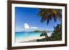 Trunk Bay Palm Tree St John USVI-George Oze-Framed Photographic Print