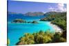 Trunk Bay Panorama, Saint John, US Virgin Islands-George Oze-Stretched Canvas