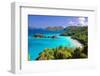 Trunk Bay Panorama, Saint John, US Virgin Islands-George Oze-Framed Photographic Print