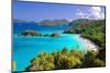 Trunk Bay Panorama, Saint John, US Virgin Islands-George Oze-Mounted Photographic Print