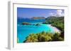 Trunk Bay Panorama, Saint John, US Virgin Islands-George Oze-Framed Photographic Print