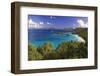Trunk Bay, Saint John, US Virgin Islands-George Oze-Framed Photographic Print