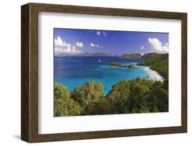 Trunk Bay, Saint John, US Virgin Islands-George Oze-Framed Photographic Print