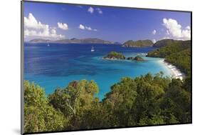 Trunk Bay, Saint John, US Virgin Islands-George Oze-Mounted Photographic Print