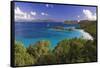 Trunk Bay, Saint John, US Virgin Islands-George Oze-Framed Stretched Canvas