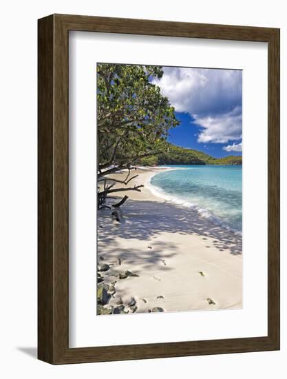 Trunk Bay Seclusion, US Virgin Islands-George Oze-Framed Photographic Print