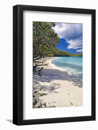 Trunk Bay Seclusion, US Virgin Islands-George Oze-Framed Photographic Print