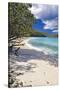 Trunk Bay Seclusion, US Virgin Islands-George Oze-Stretched Canvas