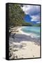 Trunk Bay Seclusion, US Virgin Islands-George Oze-Framed Stretched Canvas