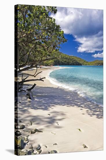 Trunk Bay Seclusion, US Virgin Islands-George Oze-Stretched Canvas