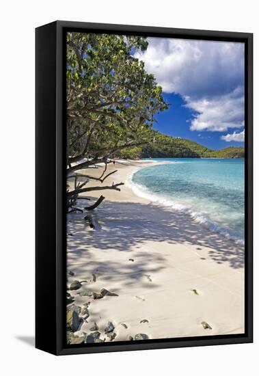 Trunk Bay Seclusion, US Virgin Islands-George Oze-Framed Stretched Canvas