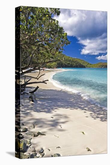 Trunk Bay Seclusion, US Virgin Islands-George Oze-Stretched Canvas