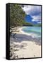 Trunk Bay Seclusion, US Virgin Islands-George Oze-Framed Stretched Canvas