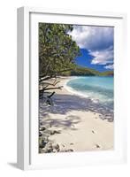 Trunk Bay Seclusion, US Virgin Islands-George Oze-Framed Photographic Print