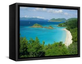 Trunk Bay, St. John, U.S. Virgin Islands, Caribbean, West Indies, Central America-Fred Friberg-Framed Stretched Canvas