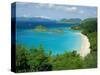 Trunk Bay, St. John, U.S. Virgin Islands, Caribbean, West Indies, Central America-Fred Friberg-Stretched Canvas