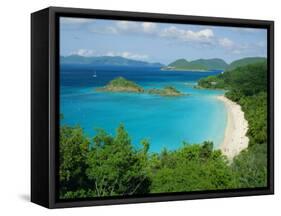 Trunk Bay, St. John, U.S. Virgin Islands, Caribbean, West Indies, Central America-Fred Friberg-Framed Stretched Canvas