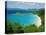 Trunk Bay, St. John, U.S. Virgin Islands, Caribbean, West Indies, Central America-Fred Friberg-Stretched Canvas