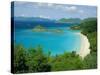 Trunk Bay, St. John, U.S. Virgin Islands, Caribbean, West Indies, Central America-Fred Friberg-Stretched Canvas