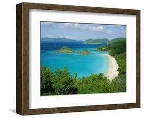 Trunk Bay, St. John, U.S. Virgin Islands, Caribbean, West Indies, Central America-Fred Friberg-Framed Photographic Print