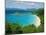 Trunk Bay, St. John, U.S. Virgin Islands, Caribbean, West Indies, Central America-Fred Friberg-Mounted Photographic Print