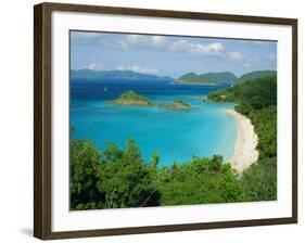 Trunk Bay, St. John, U.S. Virgin Islands, Caribbean, West Indies, Central America-Fred Friberg-Framed Photographic Print