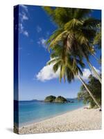 Trunk Bay, St. John, U.S. Virgin Islands, West Indies, Caribbean, Central America-Gavin Hellier-Stretched Canvas