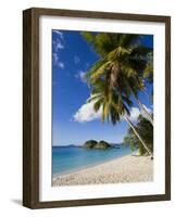 Trunk Bay, St. John, U.S. Virgin Islands, West Indies, Caribbean, Central America-Gavin Hellier-Framed Photographic Print