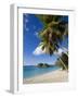 Trunk Bay, St. John, U.S. Virgin Islands, West Indies, Caribbean, Central America-Gavin Hellier-Framed Photographic Print