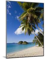 Trunk Bay, St. John, U.S. Virgin Islands, West Indies, Caribbean, Central America-Gavin Hellier-Mounted Photographic Print