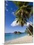 Trunk Bay, St. John, U.S. Virgin Islands, West Indies, Caribbean, Central America-Gavin Hellier-Mounted Photographic Print