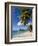 Trunk Bay, St. John, U.S. Virgin Islands, West Indies, Caribbean, Central America-Gavin Hellier-Framed Photographic Print