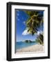 Trunk Bay, St. John, U.S. Virgin Islands, West Indies, Caribbean, Central America-Gavin Hellier-Framed Photographic Print