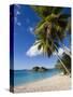 Trunk Bay, St. John, U.S. Virgin Islands, West Indies, Caribbean, Central America-Gavin Hellier-Stretched Canvas