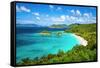 Trunk Bay, St John, United States Virgin Islands.-SeanPavonePhoto-Framed Stretched Canvas