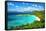 Trunk Bay, St John, United States Virgin Islands.-SeanPavonePhoto-Framed Stretched Canvas