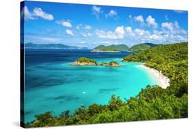 Trunk Bay, St John, United States Virgin Islands.-SeanPavonePhoto-Stretched Canvas