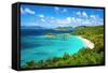 Trunk Bay, St John, United States Virgin Islands.-SeanPavonePhoto-Framed Stretched Canvas