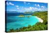 Trunk Bay, St John, United States Virgin Islands.-SeanPavonePhoto-Stretched Canvas