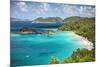 Trunk Bay, St John, United States Virgin Islands.-SeanPavonePhoto-Mounted Photographic Print