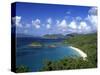 Trunk Bay, St. John, Us Virgin Islands, Caribbean-Walter Bibikow-Stretched Canvas