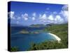 Trunk Bay, St. John, Us Virgin Islands, Caribbean-Walter Bibikow-Stretched Canvas