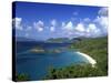 Trunk Bay, St. John, Us Virgin Islands, Caribbean-Walter Bibikow-Stretched Canvas
