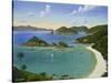 Trunk Bay - Virgin Islands-Eduardo Camoes-Stretched Canvas