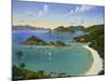 Trunk Bay - Virgin Islands-Eduardo Camoes-Mounted Giclee Print