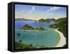 Trunk Bay - Virgin Islands-Eduardo Camoes-Framed Stretched Canvas