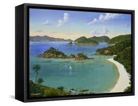 Trunk Bay - Virgin Islands-Eduardo Camoes-Framed Stretched Canvas