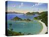 Trunk Bay - Virgin Islands-Eduardo Camoes-Stretched Canvas